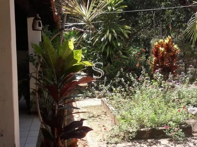 Imagem 11: Sítio À Venda no Bairro São Benedito - Timon/Ma