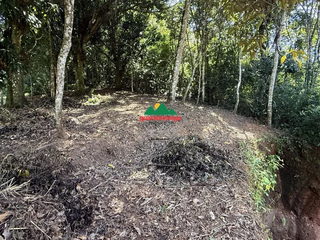 Imagem 5: ? 338,97 m² de tranquilidade, natureza e qualidade de vida, em uma região privil