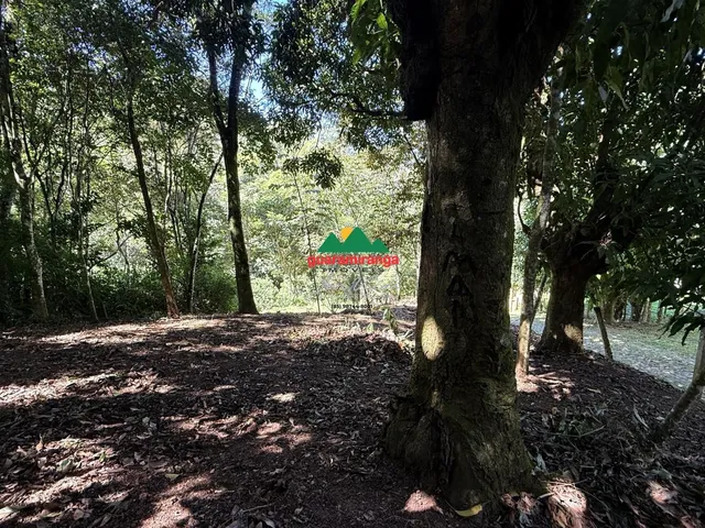 Imagem 10: ? 338,97 m² de tranquilidade, natureza e qualidade de vida, em uma região privil