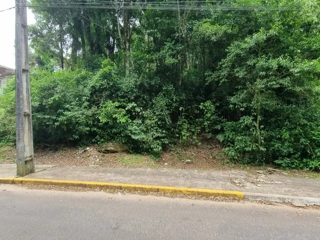 Imagem 6: Terreno em Gramado - Terreno em Gramado