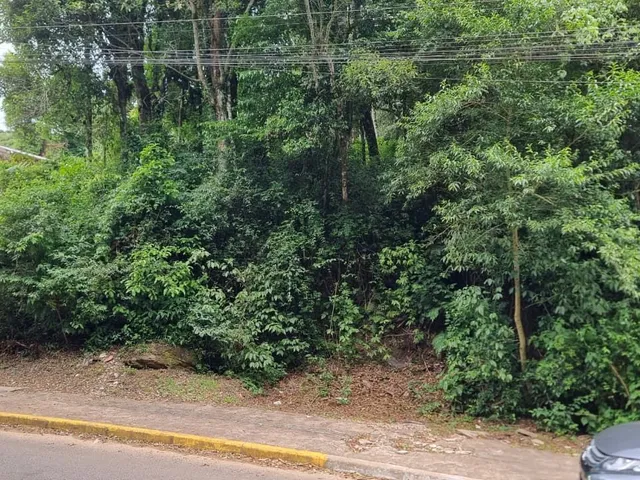 Imagem 12: Terreno em Gramado - Terreno em Gramado