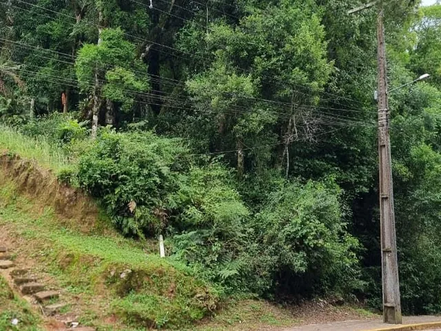Imagem 8: Terreno em Gramado - Terreno em Gramado