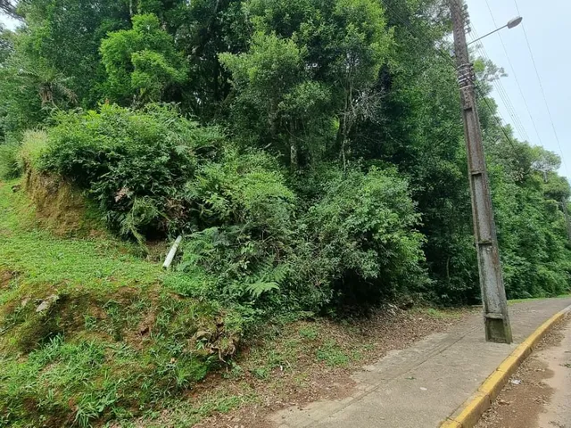 Imagem 9: Terreno em Gramado - Terreno em Gramado