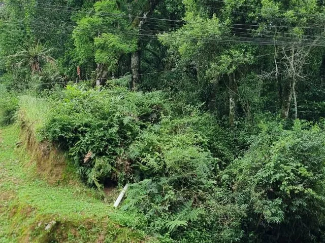 Imagem 5: Terreno em Gramado - Terreno em Gramado