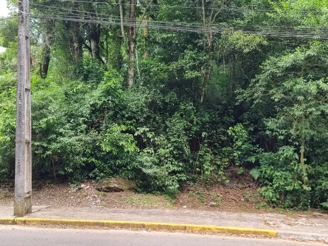 Imagem 3: Terreno em Gramado - Terreno em Gramado