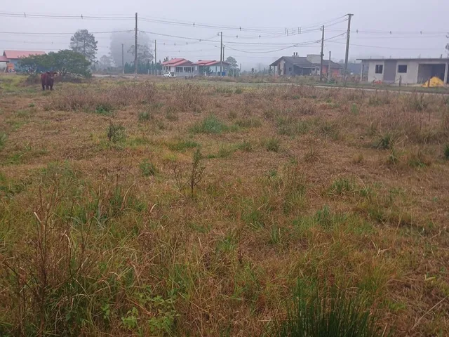 Imagem 8: Terreno Pedro Benz Vila São João/ Torres - Terrenos Pedro Bez Vila São João/ Torres