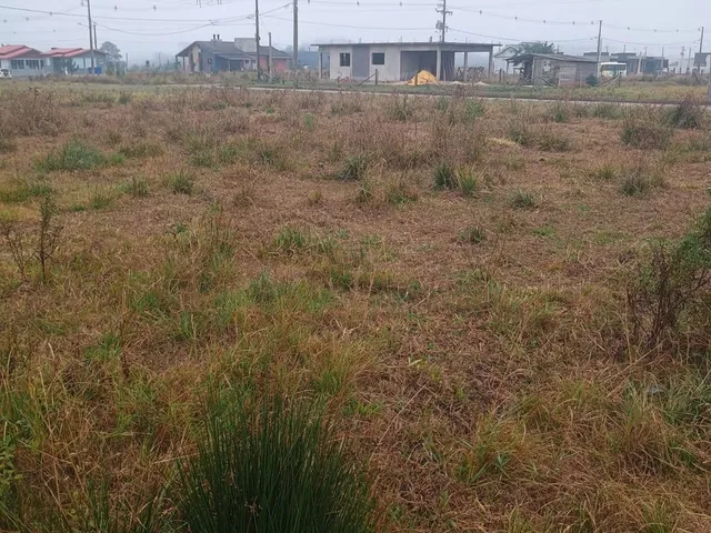 Imagem 2: Terreno Pedro Benz Vila São João/ Torres - Terrenos Pedro Bez Vila São João/ Torres