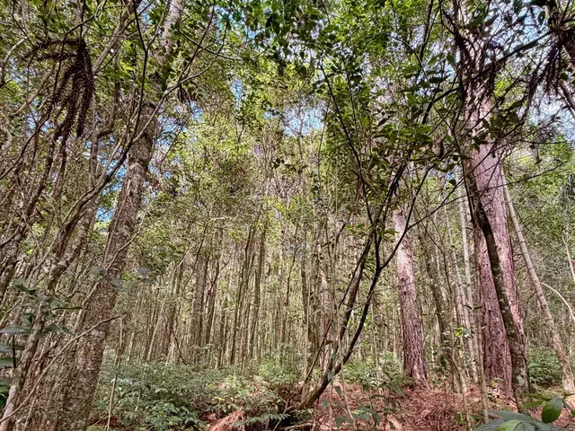 Imagem 3: Colinas Da Uva - Chácara - Colinas Da Uva