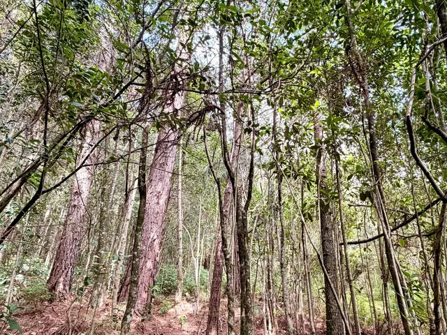 Imagem 2: Colinas Da Uva - Chácara - Colinas Da Uva