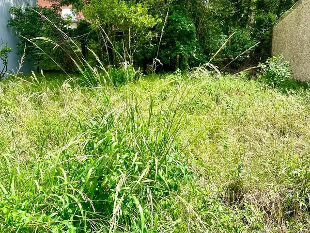 Imagem: Terreno próximo a UCS - Terreno à venda