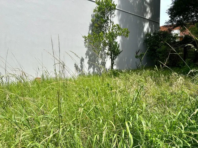 Imagem 2: Terreno próximo a UCS - Terreno à venda no bairro Petrópolis - Caxias do Sul/RS