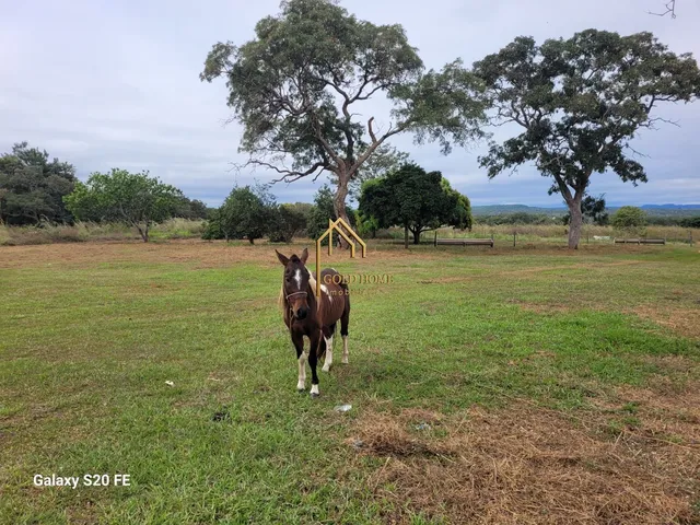 Imagem 10: Vendo Fazenda em Chapada dos Guimarães , Distrito de Água Fria