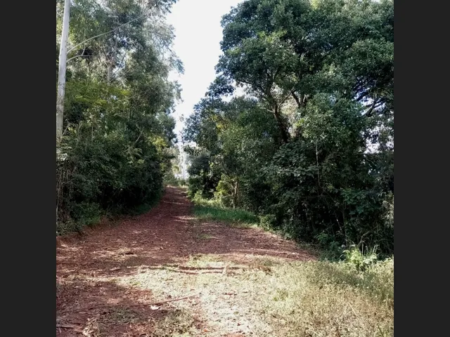Imagem 5: Chácara À Venda em Poços de Caldas - Mg. Bairro Colinas. R$280.000,00