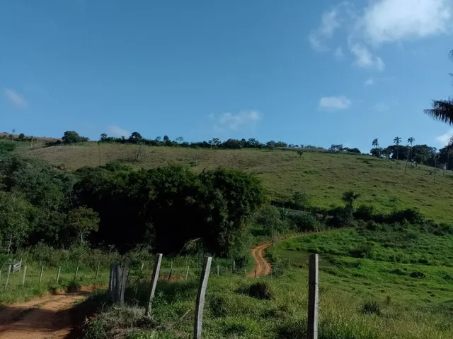 Imagem 3: Sítio 3.5 Alqueires À Venda em Bandeira do Sul - Mg. R$650.000,00