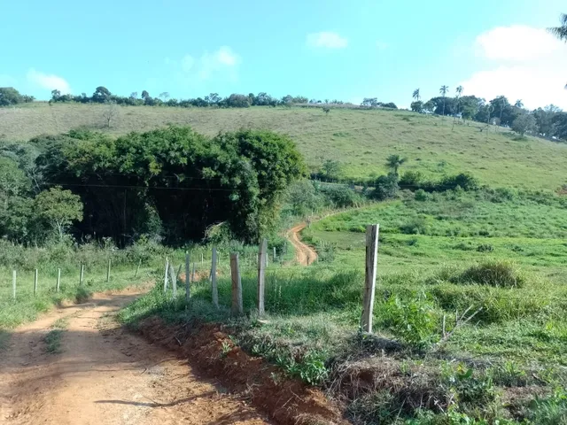 Imagem 14: Sítio 3.5 Alqueires À Venda em Bandeira do Sul - Mg. R$650.000,00