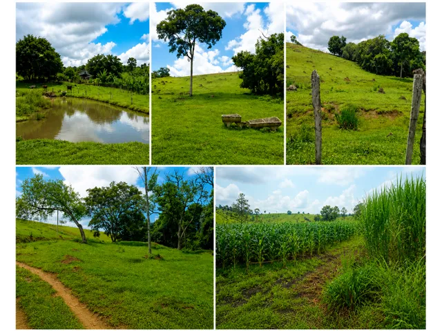 Imagem 8: Sítio 5.5 Alqueires à venda em Caldas – MG. R$900.000,00