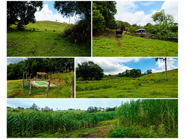 Imagem 9: Sítio 5.5 Alqueires à venda em Caldas – MG. R$900.000,00