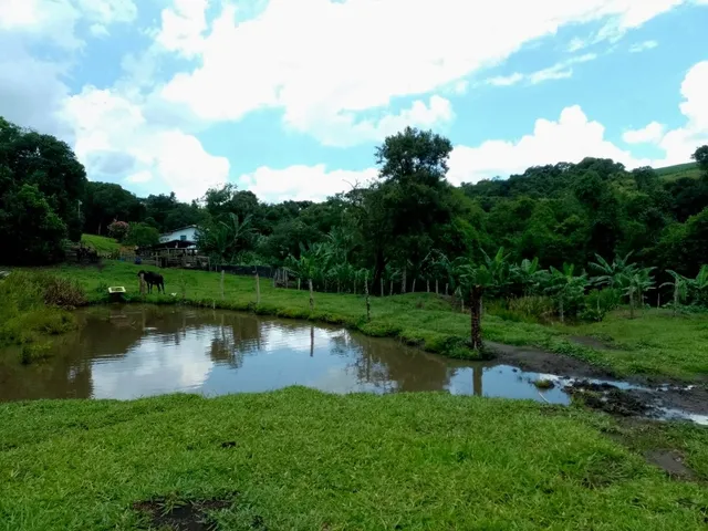 Imagem 14: Sítio 5.5 Alqueires à venda em Caldas – MG. R$900.000,00
