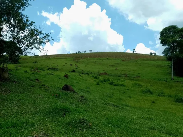 Imagem 11: Sítio 5.5 Alqueires à venda em Caldas – MG. R$900.000,00