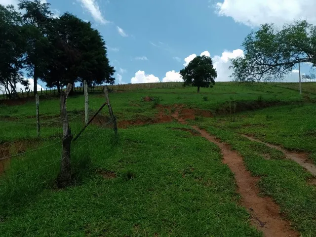 Imagem 5: Sítio 5.5 Alqueires à venda em Caldas – MG. R$900.000,00