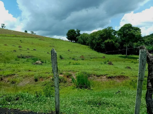 Imagem 16: Sítio 5.5 Alqueires à venda em Caldas – MG. R$900.000,00