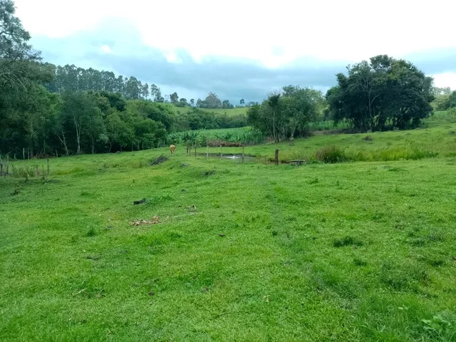 Imagem 4: Sítio 5.5 Alqueires à venda em Caldas – MG. R$900.000,00
