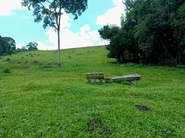 Imagem 2: Sítio 5.5 Alqueires à venda em Caldas – MG. R$900.000,00