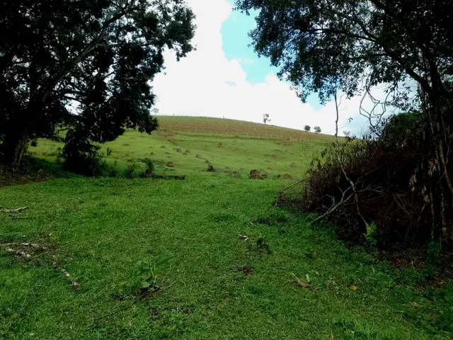 Imagem 10: Sítio 5.5 Alqueires à venda em Caldas – MG. R$900.000,00