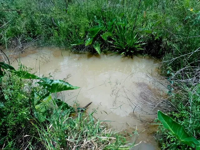 Imagem 3: Sítio 5.5 Alqueires à venda em Caldas – MG. R$900.000,00
