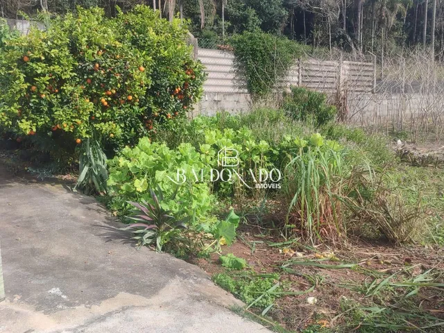 Imagem 12: Chácara a Venda em Extrema Mg, Área de 500M, 1 Dormitórios e com Uma Bela Vista