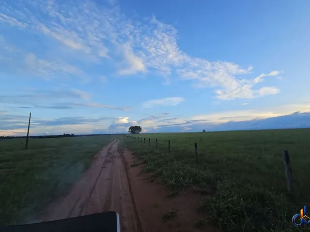 Imagem: Fazenda a 125 km de Tangara da Serra/MT