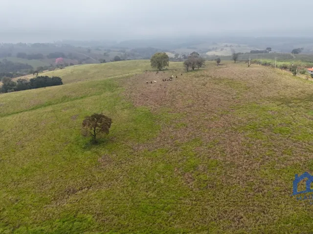 Imagem: Sítio/Fazenda à Venda, 10,09 alqueires