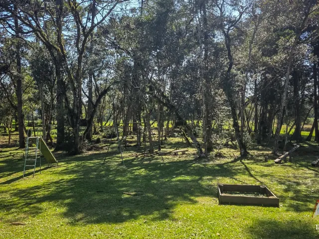 Imagem 16: CHACARA RURAL em SÃO JOSÉ DOS PINHAIS - PR, Malhada