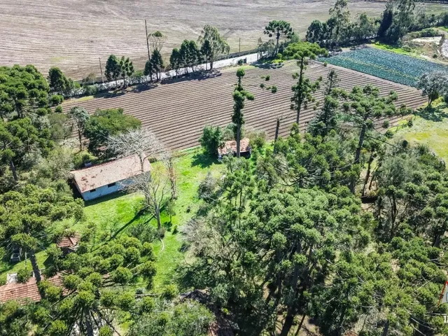 Imagem 2: CHACARA RURAL em SÃO JOSÉ DOS PINHAIS - PR, Malhada