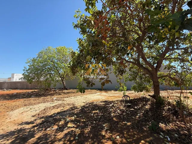 Imagem: Terreno, 300 m² - 1503 sul (Arso 151)