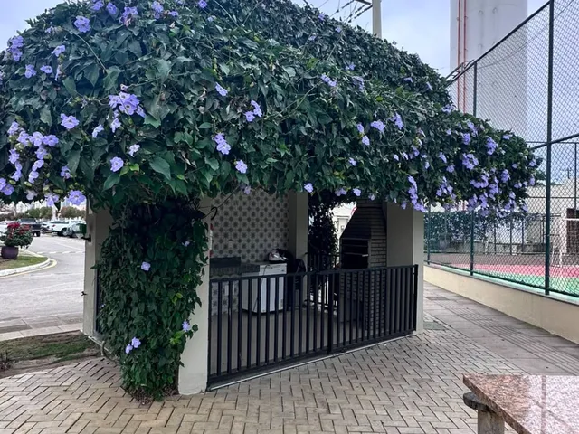 Imagem 13: Apartamento Residencial em Vitória da Conquista - Ba, Boa Vista