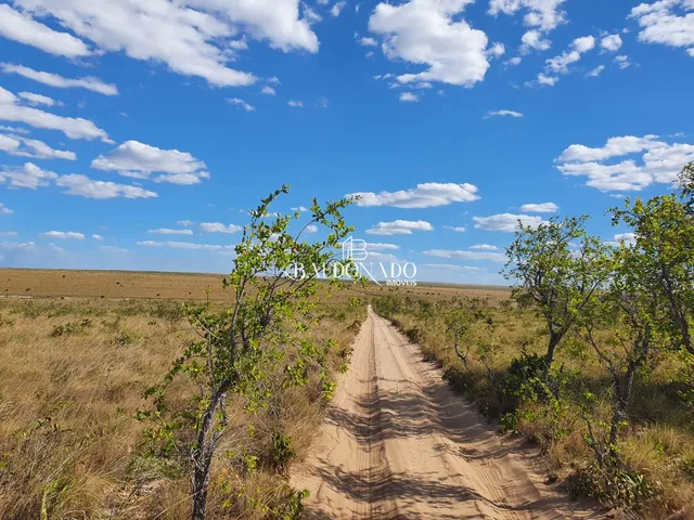Imagem: AREAS FAZENDA EM MATEIROS TO TOTAL 4 AREAS