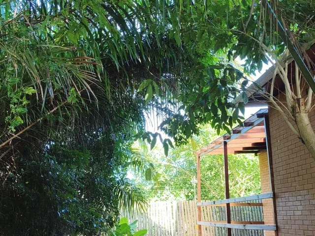 Imagem 10: Casa em Abrantes