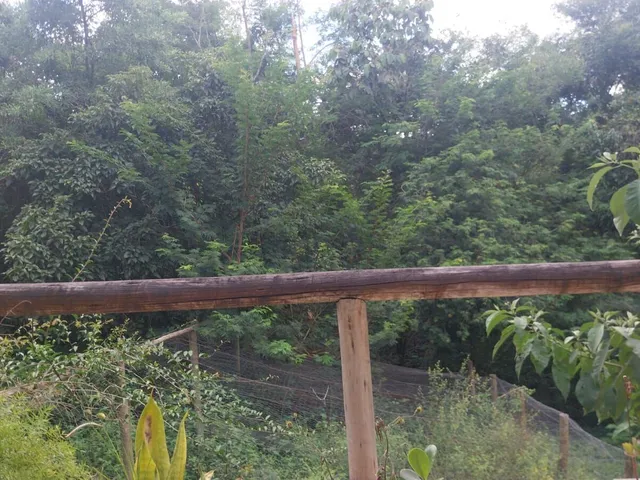Imagem 16: Nosso Rancho - Chácara em Vila Ipê Amarelo, Contagem/MG