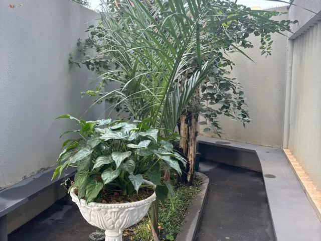Imagem 6: Edifício Serra Dourada - Apartamento para Alugar no Bairro Consil - Cuiabá/Mt