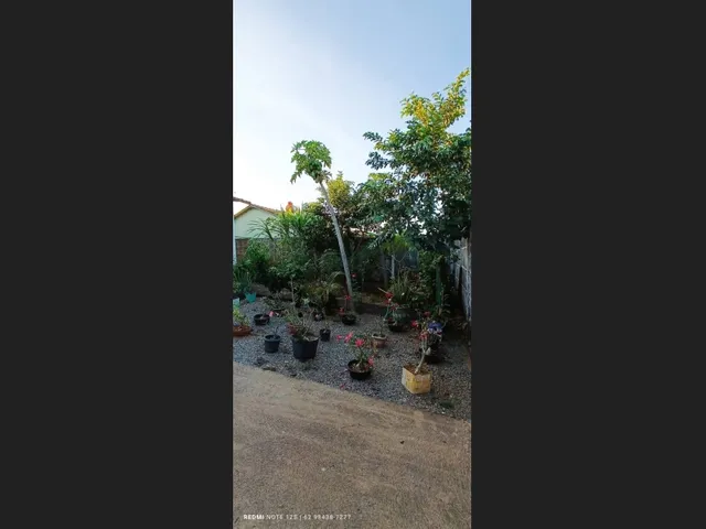 Imagem 8: Casa Setor Paulo Dias