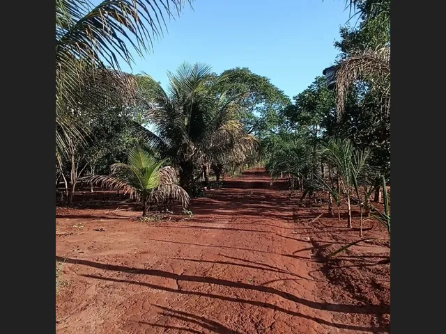 Imagem 10: Chácara Río do Peixe