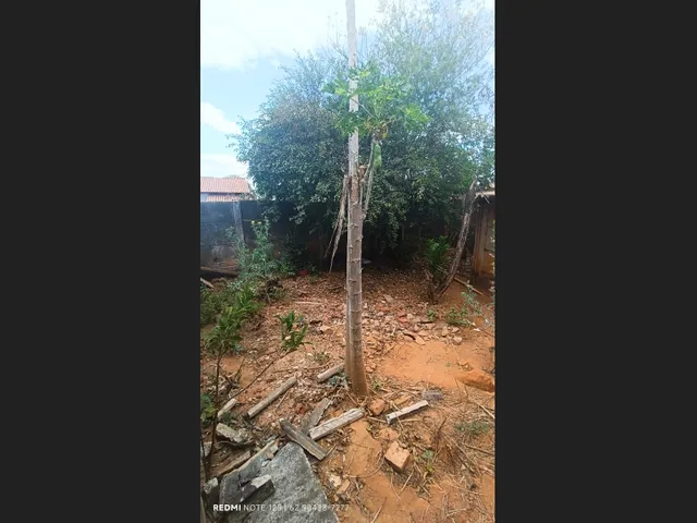 Imagem 5: Casa Setir Flamboyant