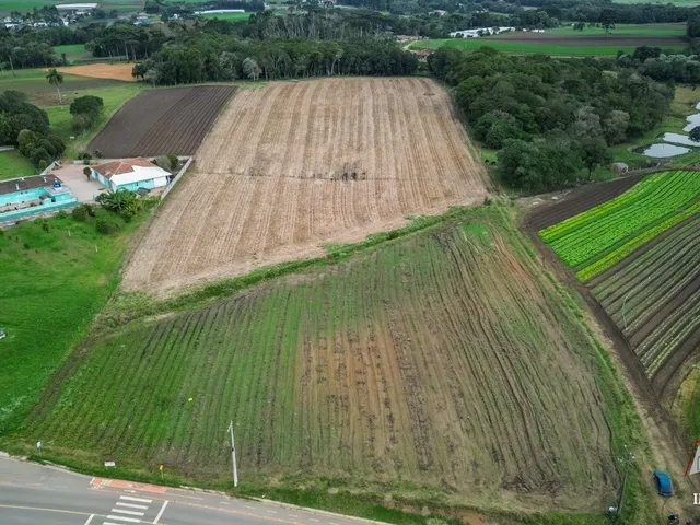 Imagem: CHACARA RURAL em SÃO JOSÉ DOS PINHAIS