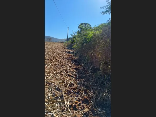 Imagem 5: Lote Chácara Rio do Peixe Só 15Km de Goianésia