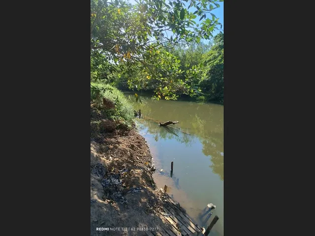 Imagem 7: Lote Chácara Rio do Peixe Só 15Km de Goianésia