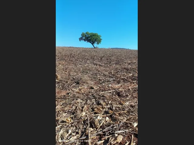 Imagem 4: Lote Chácara Rio do Peixe Só 15Km de Goianésia