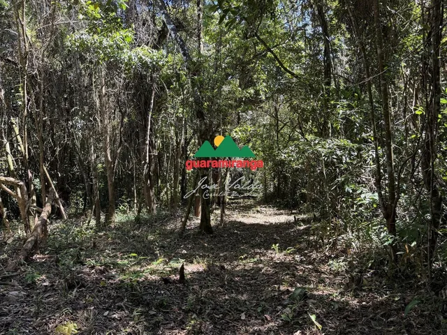 Imagem 6: Um Refúgio na Serra de Guaramiranga, com 4,15 Hectares, Muita Água e Natureza