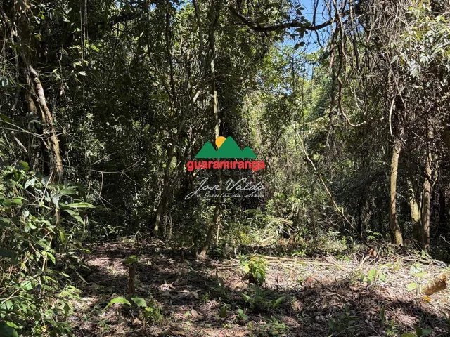 Imagem 7: Um Refúgio na Serra de Guaramiranga, com 4,15 Hectares, Muita Água e Natureza