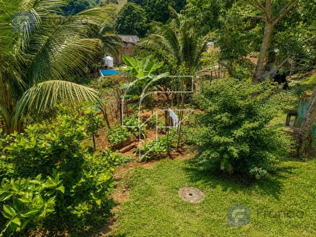 Imagem 2: Chácara à venda em Cachoeirinha, Guarapari-ES com rio, lagoa e pomar